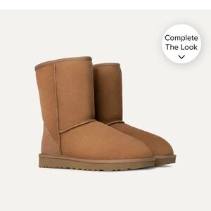 Uggs- Classic Short II- Chestnut
